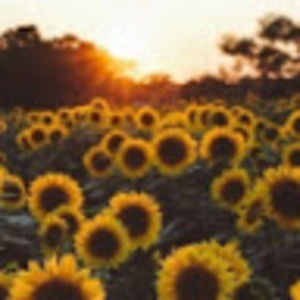 Meet your Posher, Danicka